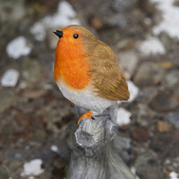 Burgess Sitting Robin Resin Statue Home Garden British Bird Sculpture Outdoor Ornament Robins Appear British Gift - thumbnail 4