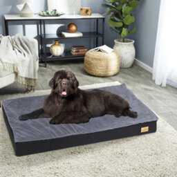 Bingopaw 105X70X10Cm Flat Dog Bed Pet Crate Cushion Mattress With Removable Cover Waterproof - thumbnail 1