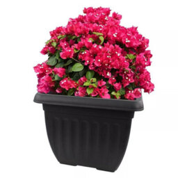 30M Square Athens Deep Planter Plant Flower Pot Plastic Black Garden Grow Container - thumbnail 2