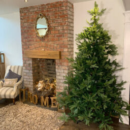 Samuel Alexander Everlands 240Cm (8Ft) Green Grandis Fir Real Look Christmas Tree 2935 Tips - thumbnail 1