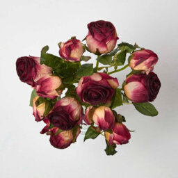Homescapes Artificial Burgundy Handcrafted Bouquet Of Dried Roses, 37 Cm - thumbnail 2