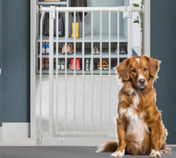 Bettacare Extra Tall Elite Dog Gate, 107Cm - 116Cm, Matt White, Extra Tall 96.8Cm In Height, Pressure Fit Pet Gate - thumbnail 2