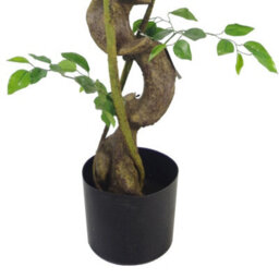 Leaf Artificial Japanese Fruticosa Ficus Tree Gold 120Cm - thumbnail 4