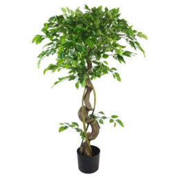 Leaf Artificial Japanese Fruticosa Ficus Tree Gold 120Cm - thumbnail 3