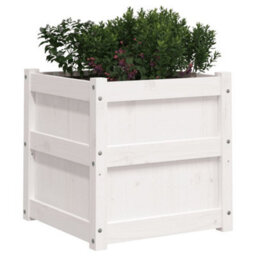 Berkfield Rustic Garden Planters 2 Pcs White Solid Wood Pine - thumbnail 4