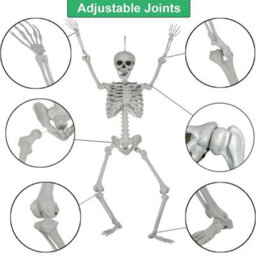 170Cm Giant Life Size Human Skeleton Model Horror Bone Posable Halloween Decor - thumbnail 5