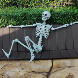 170Cm Giant Life Size Human Skeleton Model Horror Bone Posable Halloween Decor - thumbnail 6