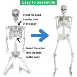 170Cm Giant Life Size Human Skeleton Model Horror Bone Posable Halloween Decor - thumbnail 4