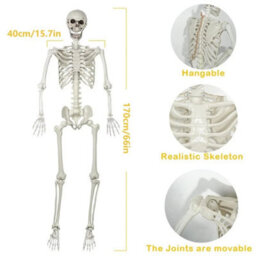170Cm Giant Life Size Human Skeleton Model Horror Bone Posable Halloween Decor - thumbnail 2