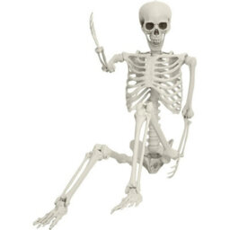 170Cm Giant Life Size Human Skeleton Model Horror Bone Posable Halloween Decor - thumbnail 3