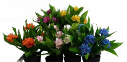 Leaf 18Cm Artificial Freesia Plant Dark Pink Flowering - thumbnail 5