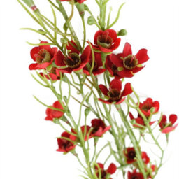 Leaf Pack Of 6 X 100Cm Artificial Foliage Stem With Small Flowers - Red - thumbnail 2