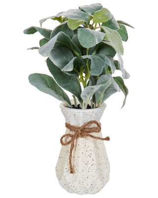 Wyld And Coco 30Cm Lambs Ear Faux Plant With Cement Pot - Realistic Silvery-Green Indoor Decor - image 1