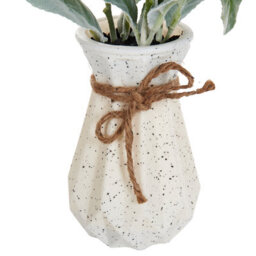 Wyld And Coco 30Cm Lambs Ear Faux Plant With Cement Pot - Realistic Silvery-Green Indoor Decor - thumbnail 6