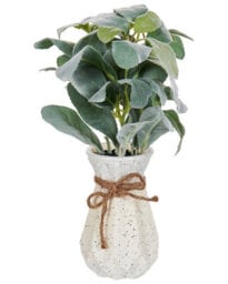 Wyld And Coco 30Cm Lambs Ear Faux Plant With Cement Pot - Realistic Silvery-Green Indoor Decor - thumbnail 1