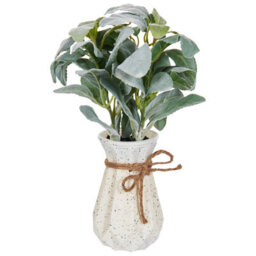 Wyld And Coco 30Cm Lambs Ear Faux Plant With Cement Pot - Realistic Silvery-Green Indoor Decor - thumbnail 3