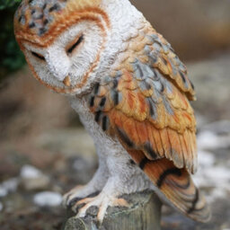 Burgess Barn Owl Resin Sculpture Home Garden British Wildlife Statue Outdoor Ornament Eagle Large Bird Gift - thumbnail 3