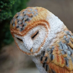 Burgess Barn Owl Resin Sculpture Home Garden British Wildlife Statue Outdoor Ornament Eagle Large Bird Gift - thumbnail 2