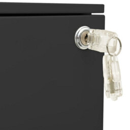 Vidaxl Mobile File Cabinet Anthracite 39X45X60 Cm Steel - thumbnail 8