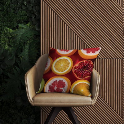 Warren Reed Designer Citrus And Pomegranate Outdoor Cushion 60Cm X 60Cm