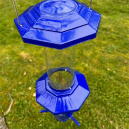 Set Of 2 Squirrel Proof Hanging Bird Seed Feeder With Flexible Perch & Baffles - thumbnail 4