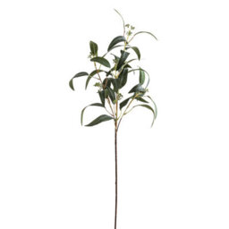 Wyld Haus Set Of 3 Seeded Eucalyptus Artificial Flower Sprays 860 mm - thumbnail 1