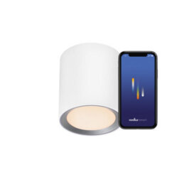 Nordlux Landon Smart Metal Ceiling Light Smart White,mains Led - thumbnail 3