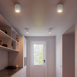 Nordlux Landon Smart Metal Ceiling Light Smart White,mains Led