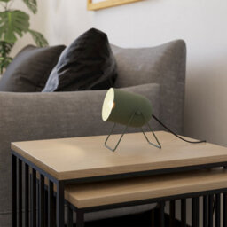 Eglo Tilston Steel Minimalist Desk Lamp, Green - thumbnail 1