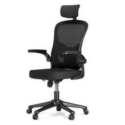 Onemill Office Desk Chair With Flip-Up Armrest, Adjustable Headrest And Lumbar Support Or Home And Office - thumbnail 1