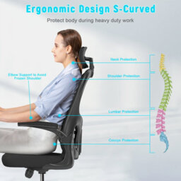 Onemill Office Desk Chair With Flip-Up Armrest, Adjustable Headrest And Lumbar Support Or Home And Office - thumbnail 3