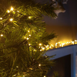 Premier - 500 Led Multi Action Treebrights With Timer - Vintage Gold/green - thumbnail 2