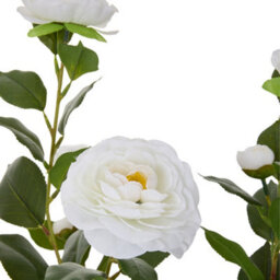 Thehotsale 90Cm Artificial White Camellia Tree Potted Plant For Indoor Decoration - thumbnail 6
