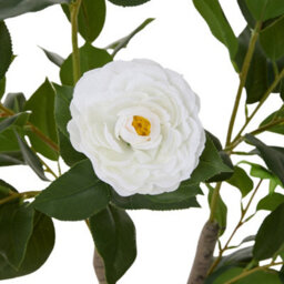 Thehotsale 90Cm Artificial White Camellia Tree Potted Plant For Indoor Decoration - thumbnail 5