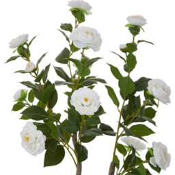 Thehotsale 90Cm Artificial White Camellia Tree Potted Plant For Indoor Decoration - thumbnail 4