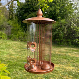 Selections Deluxe Bird Feeder 3 In 1 Seed, Nut And Suet Fat Ball (Set Of 2) - thumbnail 2