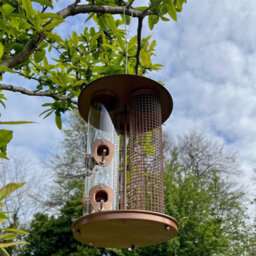 Selections Deluxe Bird Feeder 3 In 1 Seed, Nut And Suet Fat Ball (Set Of 2) - thumbnail 3