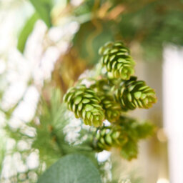 Dibor Traditional Giant Eucalyptus Hedgerow Front Door Autumn Wreath Winter Spring Wreath 50Cm - thumbnail 3