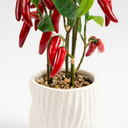 Scottish Everlastings Ltd. Scottish Everlastings 49Cm Artificial Chilli Plant In Ceramic Pot - thumbnail 2