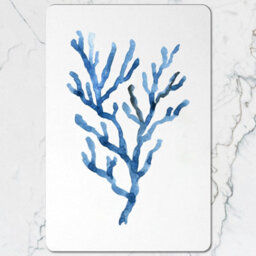 Benjamin Tate Design Placemat Coaster Set 12 Pieces With Wood Bottom Designer Coral Artwork Signature Collection - thumbnail 2