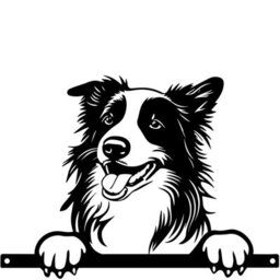 Betley Butterfly Peeking Border Collie Dog Fence Topper Black Metal Silhouette Garden Decoration - Mild Steel - Black Powder Coated - 25Cm X 32Cm - thumbnail 2
