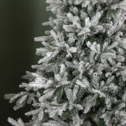 Samuel Alexander 8Ft (2.4M) Snowy Grandis Fir Artificial Christmas Tree With 2935 Tips & Metal Stand - thumbnail 6