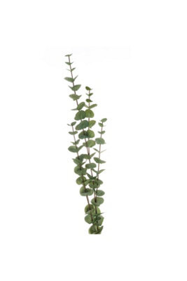 Large Cineraria Eucalyptus Spray For Faux Flower Arrangements - image 1