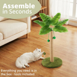 Daisy & Max Cat Scratching Post 60Cm, Tall Sisal Cat Scratcher, Palm Tree Design, Sturdy Base & Hanging Toys, Durable Cat Toys - thumbnail 6