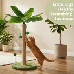 Daisy & Max Cat Scratching Post 60Cm, Tall Sisal Cat Scratcher, Palm Tree Design, Sturdy Base & Hanging Toys, Durable Cat Toys - thumbnail 3