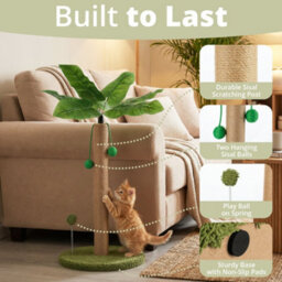 Daisy & Max Cat Scratching Post 60Cm, Tall Sisal Cat Scratcher, Palm Tree Design, Sturdy Base & Hanging Toys, Durable Cat Toys - thumbnail 5
