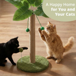 Daisy & Max Cat Scratching Post 60Cm, Tall Sisal Cat Scratcher, Palm Tree Design, Sturdy Base & Hanging Toys, Durable Cat Toys - thumbnail 7