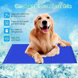Petlicity Dog Cooling Gel Pillow Mat - Pet Cooling Pad, Non-Toxic Gel, Self Cooling Mat For Dogs & Cats - thumbnail 8