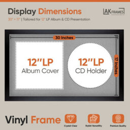 "30X17"" Matte Black Modern Vinyl Record Frame With Silver Mount For 12 Inch Lp Album Cover & Disc - Ak Frames" - thumbnail 2