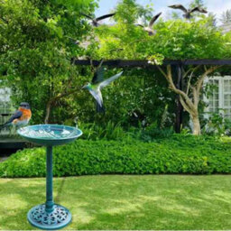 Traditional Outdoor Bird Bath Garden Pedestal Water Bowl - thumbnail 4